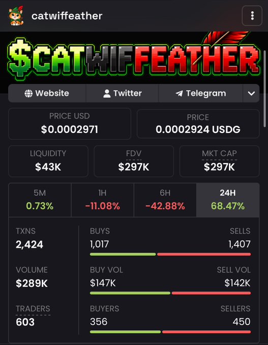 The image shows a cryptocurrency tracker page for "catwiffeather" ($CATWIFEATHER), displaying key metrics like a price of $0.0002971, $43K liquidity, $297K market cap, and notable 24H performance (+68.47%). It connects to the post "The possibilities are endless" by illustrating the high-risk, high-reward nature of meme coins, where dramatic short-term gains are possible alongside significant volatility.