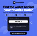 A thumbnail image for a crypto.news video titled 'find the wallet behind your favorite trader' featuring a search interface.