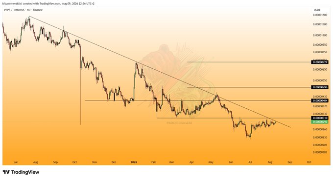 A TradingView chart shows PEPE/USDT on Binance, displaying a daily timeframe with a clear falling trendline from August 2024 highs, with the price near $0.0000028 testing the one-year descending trendline resistance and horizontal support levels marked at approximately $0.00000725, $0.00000445, and $0.00000385 as potential upside targets.