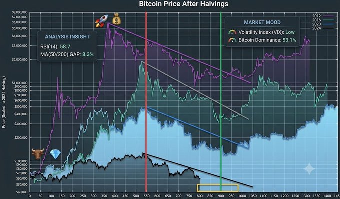 The image is a chart titled "Bitcoin Price After Halvings," overlaying Bitcoin's price movements across four halving cycles (2012, 2016, 2020, and 2024), with markers showing we're nearly 800 days into the current cycle, highlighting the historical pattern that cycle bottoms typically form around 900 days post-halving—just as the post suggests with its "100 days to go to the moon" countdown.