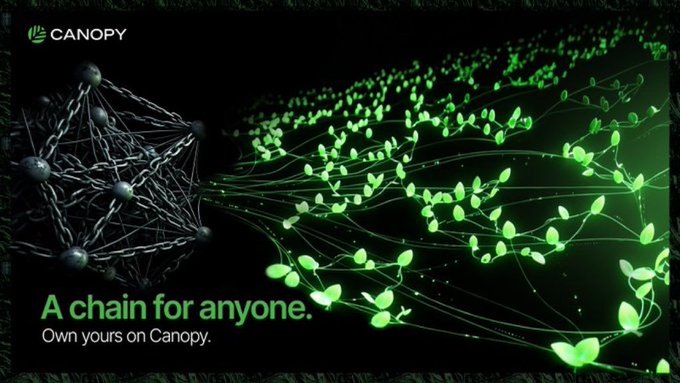 Advertisement for Canopy blockchain with the tagline "A chain for anyone. Own yours on Canopy," showing a transition from dark nodes to green leafy growth.
