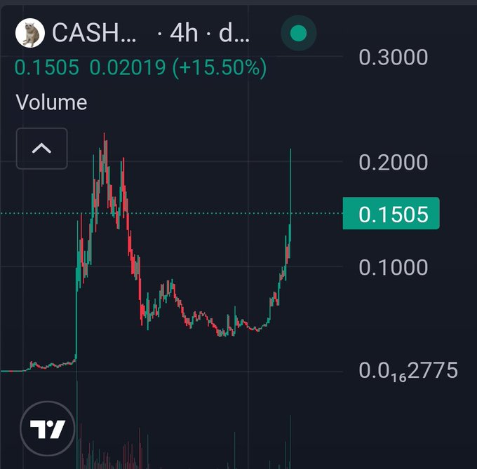 A candlestick chart displays $CASH (CASHCAT) on a 4-hour timeframe, showing the price rising sharply to 0.1505 (+15.50%) with a visible surge following an extended consolidation around the 0.02 level. The chart visually corroborates the post's claim of catching the bottom before the dramatic run-up toward the $200M market cap milestone.