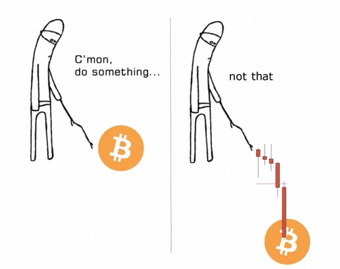 A figure with a whip urges Bitcoin to do something, then says "not that" as a candlestick chart shows the price plummeting straight down. The humor relates to the #Bitcoin hashtag by capturing the frustration of crypto holders watching the price crash after pleading for price movement.