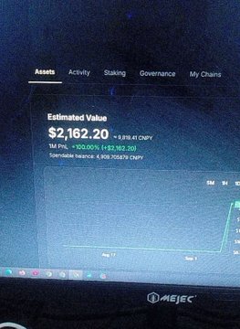 A photograph of a computer monitor displaying a cryptocurrency wallet interface with tabs for 'Assets', 'Activity', 'Staking', and 'Governance', showing an 'Estimated Value $2,162.20' and '1M PNL +100.00% (+$2,162.20)'.