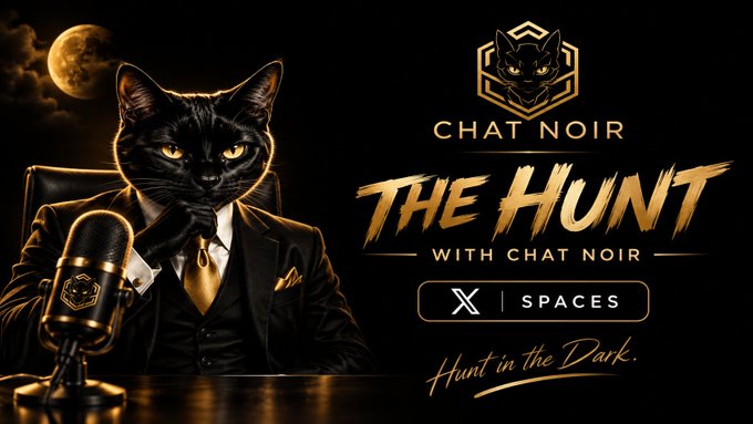 The promotional graphic for "The Hunt with Chat Noir" features a black cat in a suit speaking into a microphone against a moonlit background, alongside the Chat Noir logo, an X Spaces button, and the tagline "Hunt in the Dark," visually reinforcing the mysterious, after-hours crypto discussions described in the post.