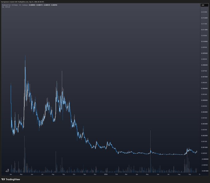 A TradingView chart displays the long-term price history of Bongecoin (BONGE), showing a peak in mid-2024 followed by a steady decline.