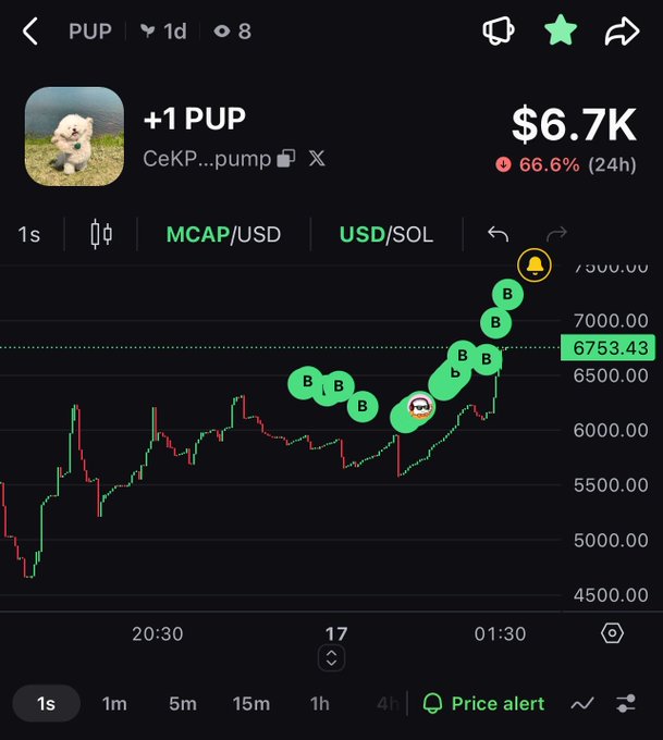 A cryptocurrency trading chart on a mobile app showing the PUP token (CeKP...pump) with a market cap of $6.7K, down 66.6% over 24 hours, displaying recent upward price action with multiple buy markers.