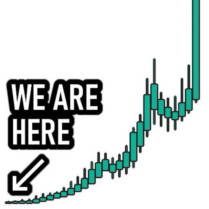 A meme-style graphic shows an upward-trending green candlestick chart with bold black text reading 'WE ARE HERE' and a white arrow pointing to the lower left section of the chart.