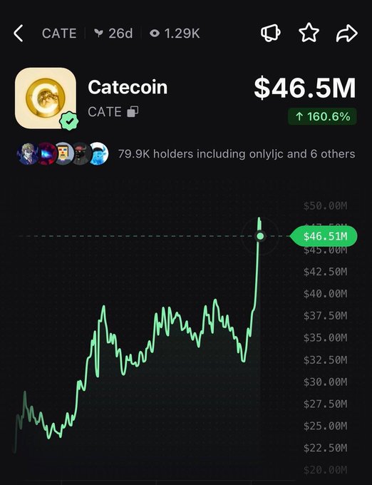 The image shows a price chart for Catecoin ($CATE), displaying a market cap of $46.5M with a 160.6% increase and 79.9K holders. The chart visually illustrates the dramatic 161% pump mentioned in the caption, showing the sharp upward spike in market cap from around $28M to over $46M.