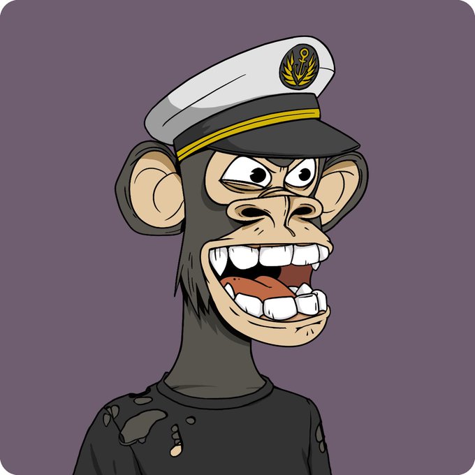 A cartoon NFT-style illustration of a Bored Ape character wearing a white naval officer's cap with gold insignia.