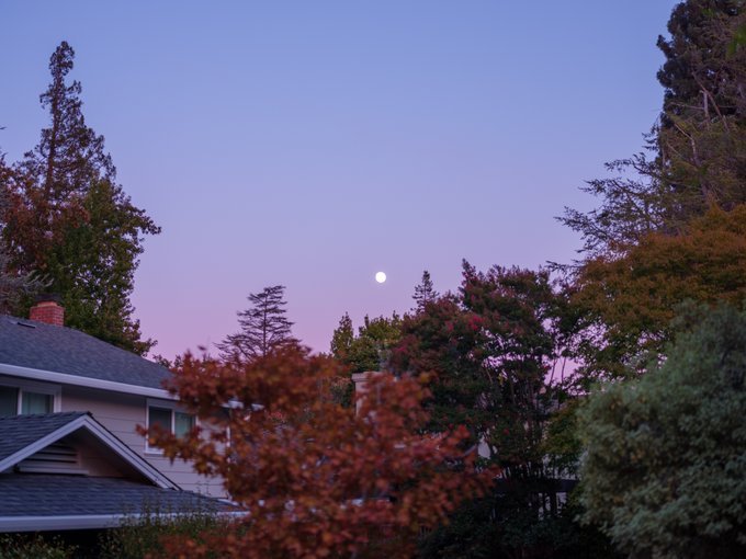A twilight scene with a purple and pink sky, showing the moon rising above trees and a house rooftop.