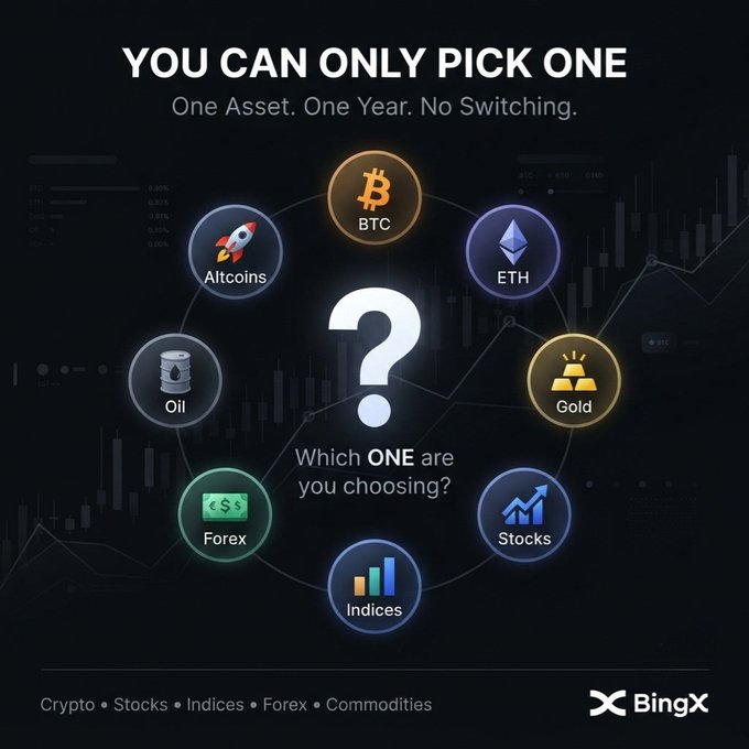 A BingX promotional graphic titled 'YOU CAN ONLY PICK ONE' featuring a circular diagram of investment assets including BTC, Altcoins, ETH, Gold, Stocks, Indices, Forex, and Oil, with the tagline 'Which ONE are you choosing?' and 'One Asset. One Year. No Switching.'