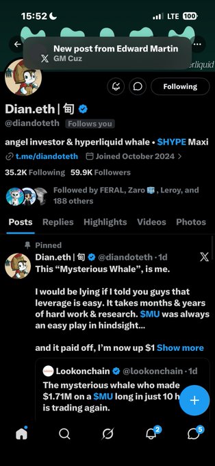 A screenshot of an X (formerly Twitter) profile for 'Dian.eth' (@diandtoth), a self-described angel investor and SHYPE maxi, sharing a pinned post about being a 'Mysterious Whale'.