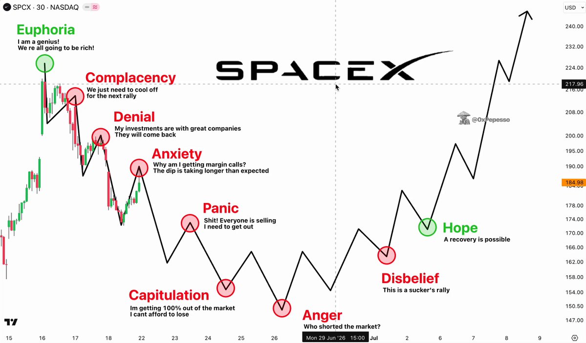 The image presents a line chart with "SPCX" written at its center against the vertical axis. The horizontal axis runs across the bottom of the image from left to right. The price points are labeled from approximately $200 down to around $150, which is where the first position can be found. The scale in between these two positions shows a downward slope indicating an upward trend. In this case, " IPO pump before day 3 peaked" means that the stock has experienced strong growth during its initial days of being listed on the stock exchange.