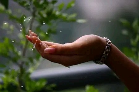 A close-up of a hand catching water droplets in the rain, wearing a silver bracelet, with green foliage visible in the background.