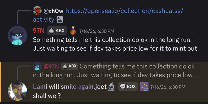 The image shows a Discord conversation where user @ch0w shares a link to the CashCats NFT collection on OpenSea, prompting user @97N to comment that "Something tells me this collection do ok in the long run. Just waiting to see if dev takes price low for it to mint out." This relates to the caption about conviction at a low mint price, suggesting an early bet on the CashCats NFT collection based on its fundamentals rather than hype.