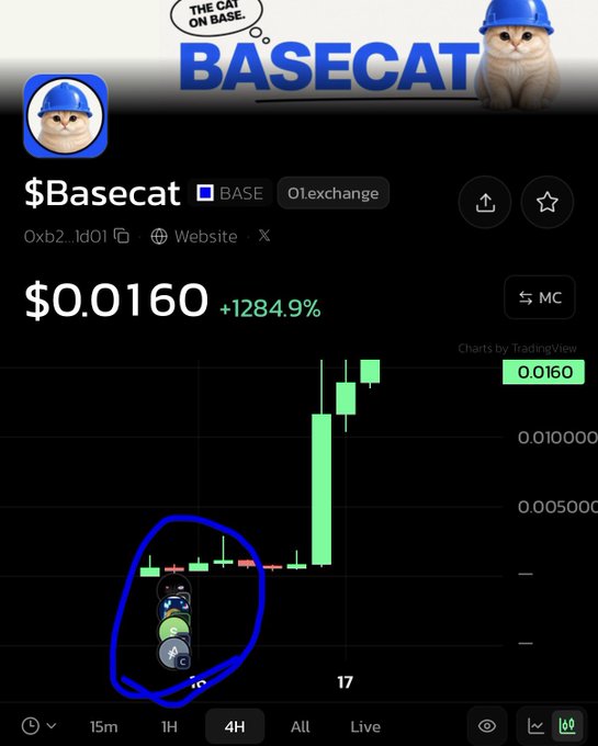 A cryptocurrency chart for '$Basecat' token showing a massive price increase of +1284.9% to $0.0160, with a blue circle highlighting a small entry area before the pump.