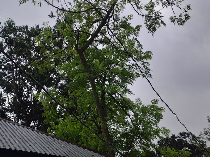 The image shows a view of trees with green leaves against an overcast sky, possibly during a cloudy day or early morning. The scene appears to be set outdoors, with no visible text or other objects present. The focus of the image seems to be on the natural surroundings and the weather conditions rather than any specific event or activity.