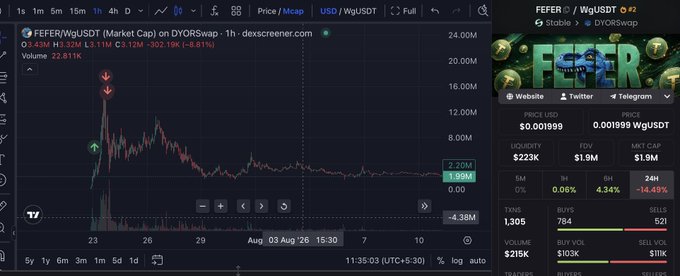 A crypto trading chart for FEFER/WgUSDT on DYORswap shows the token's price spiking to 24M before crashing to 1.99M, with market cap dropping 8.61% and 24-hour performance down 14.49%—visually illustrating the post's message that profits only matter once they're taken, as late buyers would now be holding significant losses.