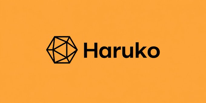 A minimalist logo design featuring a geometric icosahedron icon next to the word 'Haruko' in black text on a solid orange background.