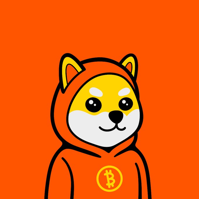 A cartoon illustration of a Shiba Inu dog wearing an orange hoodie with a Bitcoin logo on it, set against a solid orange background.