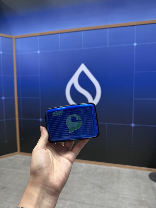 A hand holding an 'AMV' branded blue wallet/device in front of a Sui blockchain logo display wall at what appears to be a convention booth.