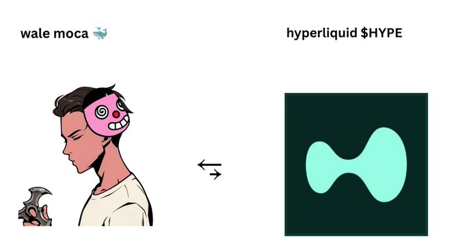 A comparison graphic showing 'wale moca' (a cartoon character with a pink mask) on the left connected by arrows to 'hyperliquid $HYPE' (a teal logo) on the right.