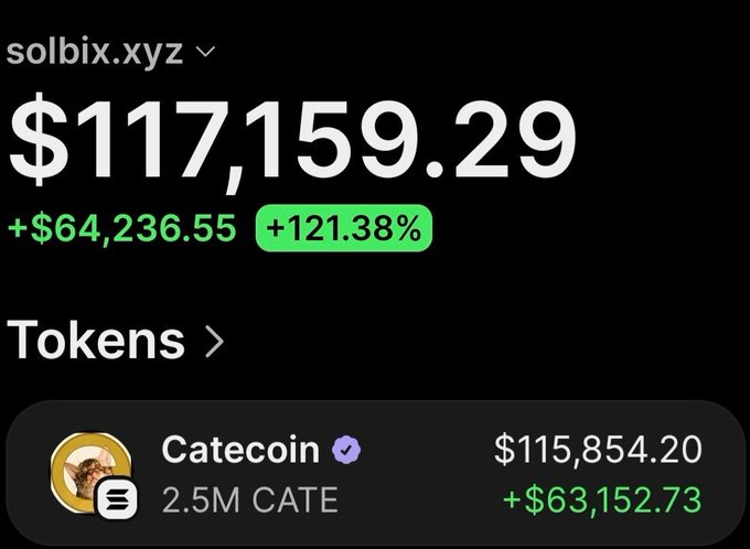 A portfolio screenshot from solbix.xyz showing total holdings of $117,159.29 (up $64,236.55 or +121.38%), with the main position being 2.5M Catecoin (CATE) valued at $115,854.20, illustrating the wallet's massive gains on its initial $14,300 investment.