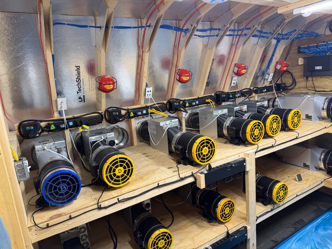 A workshop or grow room setup with wooden shelving containing multiple industrial blowers and fans with yellow and blue grates, along with power strips and wiring mounted on foil-insulated walls with red fire alarm devices.