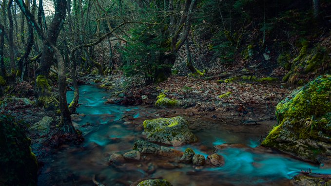 A mystical forest scene with a vibrant turquoise stream flowing through mossy rocks and trees in a shaded woodland setting.