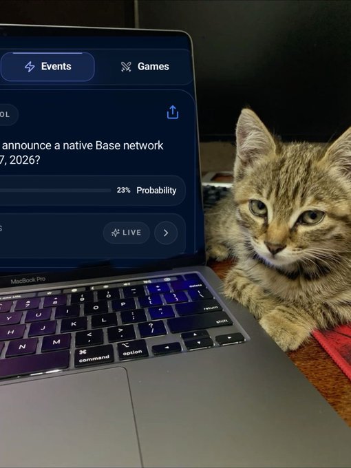 A tabby kitten sits next to an open laptop displaying a prediction market with a '23% Probability' indicator.
