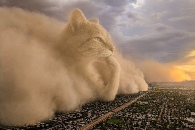 A colossal dust storm shaped like a cat's face looms ominously over a sprawling city, with the feline profile perfectly formed in the swirling sand against a dramatic sunset sky—evoking the feeling of an inevitable, looming "cat-astrophe" rolling in to engulf the landscape below.