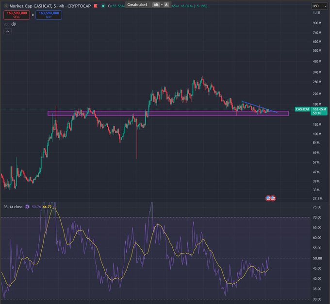 A TradingView chart of CASHCAT (CATS) cryptocurrency on the 5-minute timeframe shows a price of 163,590,000 with an RSI indicator at the bottom.