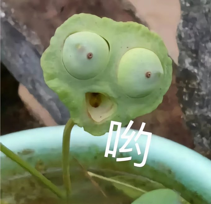 A close-up photo of a green, round object resembling a cartoon face with large bulbous eyes and an open mouth, with Chinese text '哟' overlaid.