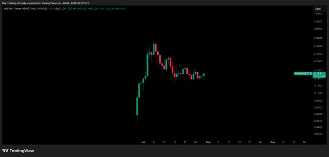 A TradingView daily candlestick chart for ANSEM Perpetual Futures (ANSEMUSD1) shows the token's sharp rally from around $0.04 in early July to a peak near $0.40 before pulling back to consolidate near $0.15, reflecting the post's note of a strong but cooling price action that requires further confirmation before re-entering long.