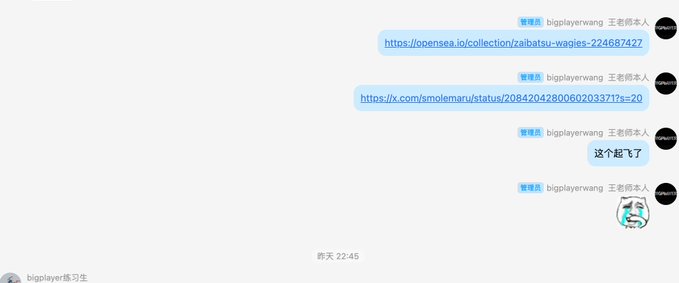 A Telegram chat screenshot showing user 'bigplayerwang' sharing OpenSea and X (Twitter) links with messages in Chinese including '这个起飞了' (this is taking off).