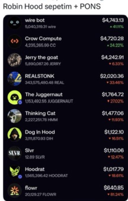 A Robin Hood portfolio titled 'Robin Hood sepetim + PONS' lists various cryptocurrencies including wire bot ($4,743.13), Crow Compute ($4,720.28), Jerry the goat ($4,242.91), REALSTONK, The Juggernaut, Thinking Cat, Dog In Hood, Slvr, Hoodrat, and flowr with their respective values and percentage changes.