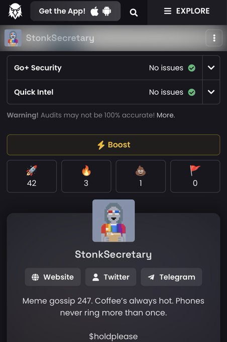 A profile page for 'StonkSecretary' on what appears to be a crypto/NFT platform shows security check results with 'No issues' and a description reading 'Meme gossip 247. Coffee's always hot. Phones never ring more than once. $oldplease'.