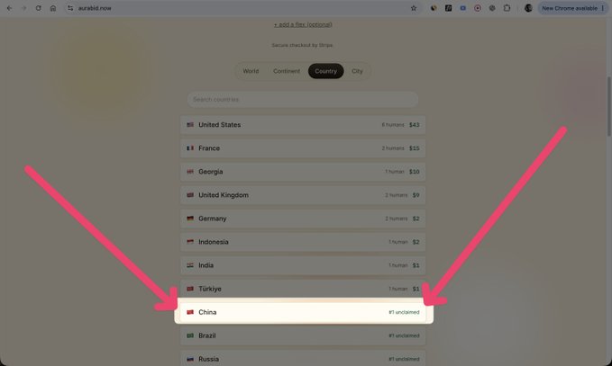 A screenshot of the auralid.now website showing a 'Secure checked by Stripe' interface with a list of countries, with pink arrows pointing to the 'China' entry.