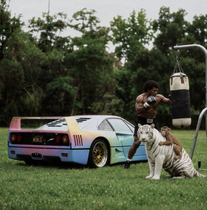 A shirtless man with boxing gloves stands next to a rainbow-colored sports car while a white tiger with a monkey on its back sits in the foreground, with a punching bag nearby in a grassy field.