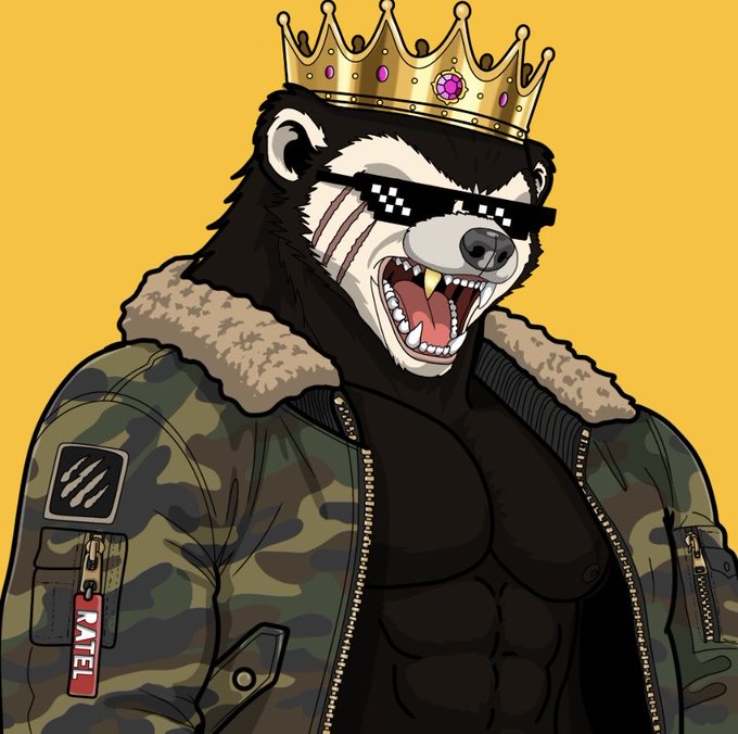 An illustrated muscular bear wears a gold crown, pixelated sunglasses, and a camo jacket with a red 'RATE' tag.