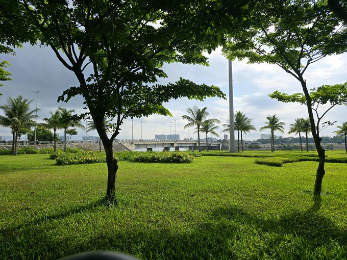Outdoor park scene with green grass, trees framing the view, palm trees in the middle distance, and a highway/bridge visible under a cloudy sky.