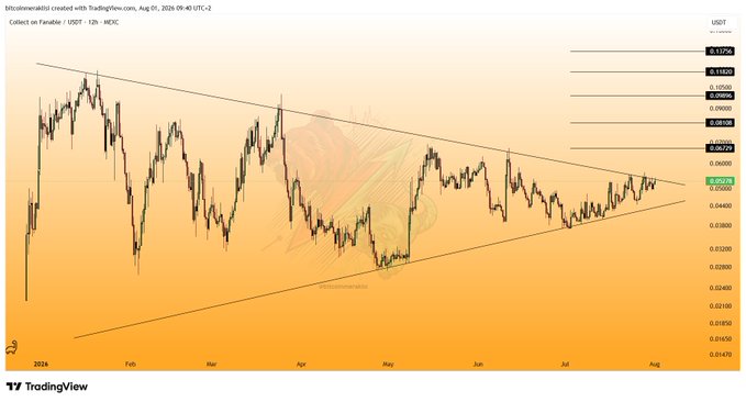 A TradingView chart of $COLLECT/USDT on a 12-hour timeframe shows the price consolidating within a symmetric triangle pattern from January through August 2026, currently testing resistance around 0.05795 USDT after rebounding from the lower trendline near 0.04873. The annotated Fibonacci levels highlight key upside targets at 0.06138, 0.05876, and 0.06966, supporting the post's analysis of a potential breakout above the triangle resistance.
