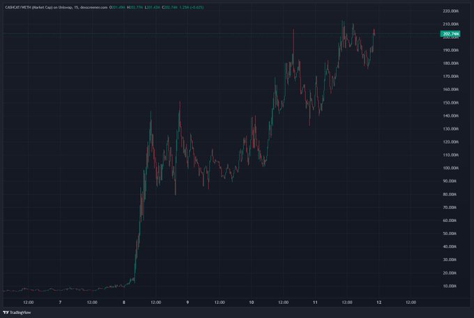 A TradingView candlestick chart for CASHCAT/META on Bitstamp shows a dramatic price surge from near $0 to a high of approximately $203.79M, illustrating the explosive organic run-up referenced in the post about new millionaires and the $12M in LP.