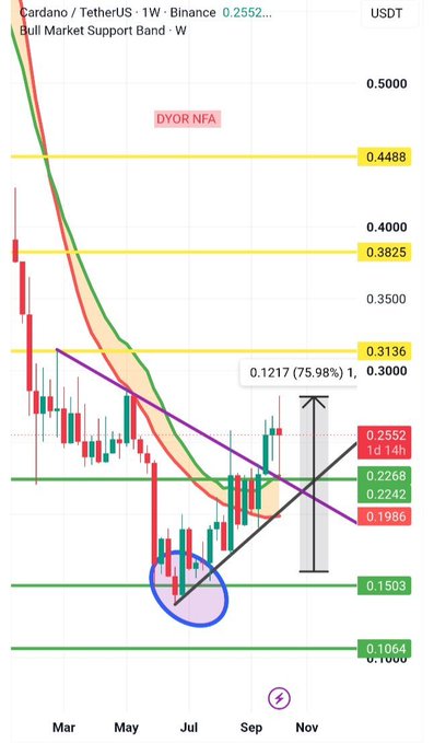 A weekly candlestick chart of Cardano/TetherUS (ADAUSDT) on Binance showing ADA's price at 0.2552 USDT, with the post highlighting a trend breakout as price clears descending purple resistance after bouncing from the green support floor at 0.1064 and black ascending trendline near 0.1503, rallying 75.98% to 0.3136 with key horizontal levels at 0.4488, 0.3825, 0.2552, 0.2268, 0.2242, 0.1986, 0.1503, and 0.1064 marked across the chart.