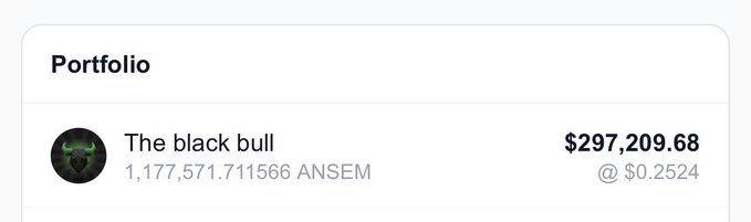 A portfolio tracking interface showing an asset called 'The black bull' with a balance of 1,177,571.711566 ANSEM valued at $297,209.68.