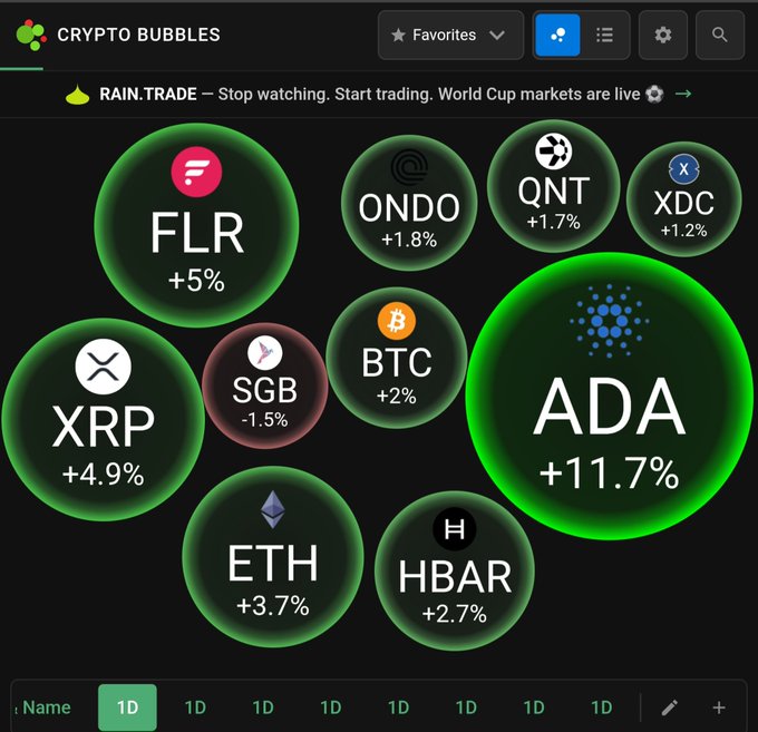 A Crypto Bubbles dashboard showing various cryptocurrencies including ADA (+11.7%), XRP (+4.9%), FLR (+5%), ETH (+3.7%), HBAR (+2.7%), BTC (+2%), ONDO (+1.8%), QNT (+1.7%), XDC (+1.2%), and SGB (-1.5%) in green bubbles, with a RAIN.TRADE advertisement at the top.