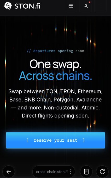 A mobile screenshot of STON.fi promoting a cross-chain swap service with the tagline 'One swap. Across chains.' listing TON, TRON, Ethereum, Base, BNB Chain, Polygon, Avalanche, with a 'reserve your seat' button and URL cross-chain.ston.fi.