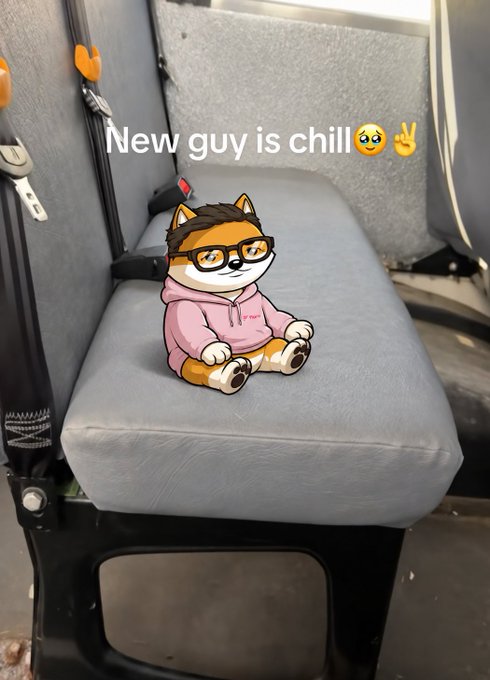 An animated cat character wearing glasses and a pink hoodie sits on a gray vehicle seat with the caption 'New guy is chill 🥹✌️'.