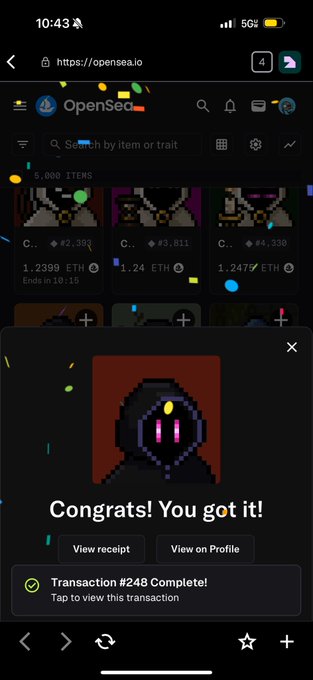 A mobile screenshot of OpenSea.io displaying a successful NFT purchase with a 'Congrats! You got it!' popup showing Transaction #248 Complete for a pixel art character NFT.